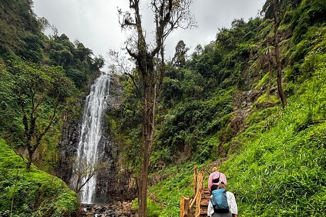 Materuni Waterfall Coffee Tour and Chemka Hot Springs Experience - Relaxing at Chemka Hot Springs