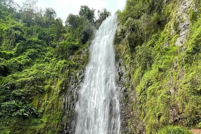 Materuni waterfall , coffee tour and hotsprings (chemka ) - Why this Moshi day works so well