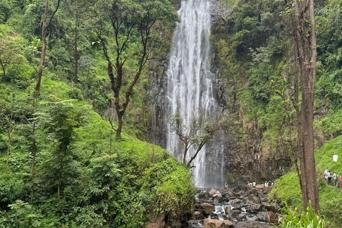 Materuni waterfall , coffee tour and hotsprings (chemka ) - Chemka Hot Springs and the afternoon question