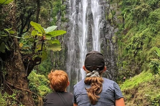 Materuni waterfall , coffee tour and hotsprings (chemka ) - Walking through the forest to an 80-meter waterfall