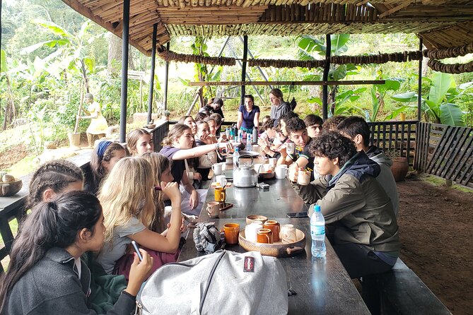 Materuni Waterfall, Coffee Tour and Picnic Hot Lunch - Timing, Transport, and What to Pack