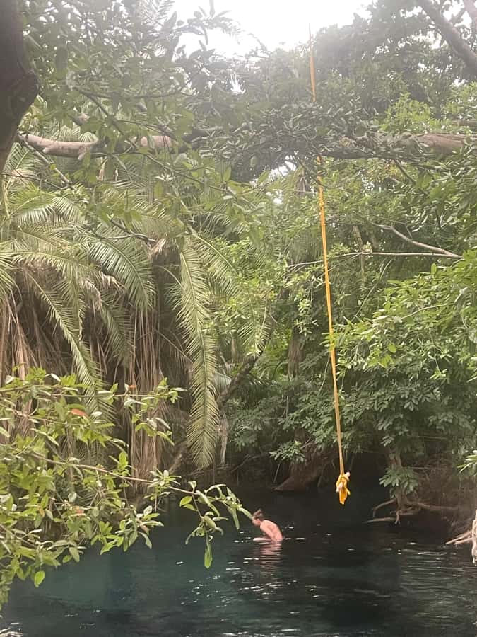 Materuni Waterfall, Coffee Tour & Hot Springs- Maasai tour - Swimming at Chemka Hot Springs