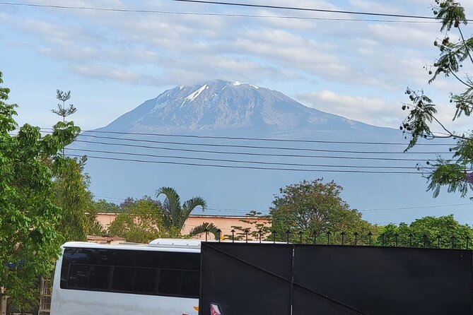 Materuni waterfall - coffee tour OR Chemka hot spring Tour - The coffee tour turns a cup into a process