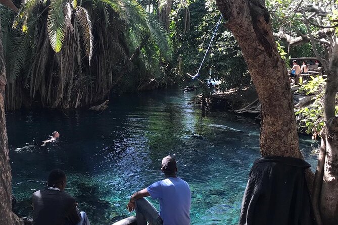 Materuni waterfall - coffee tour OR Chemka hot spring Tour - The Tarangire wording needs clarification