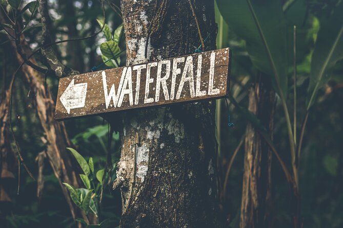 Materuni Waterfall Hike & Coffee Tour - Why Materuni makes a good Kilimanjaro side trip