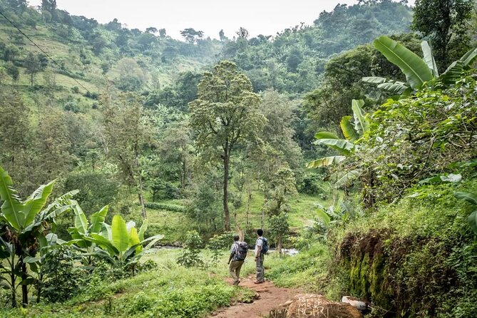 Materuni Waterfall Hike & Coffee Tour - The drive from Arusha to Materuni Village