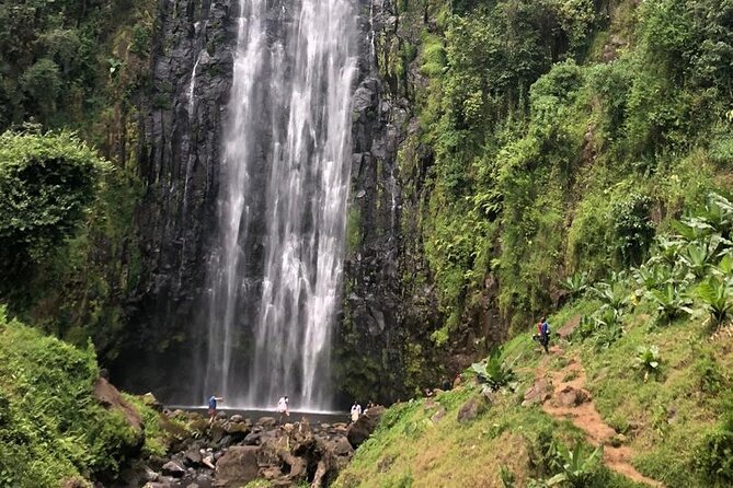 Materuni Waterfall Hike & Coffee Tour - The Chaga coffee lesson, from plant to cup