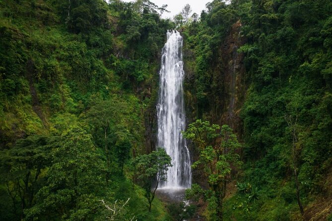 Materuni Waterfall Hike & Coffee Tour - Booking details worth checking before departure