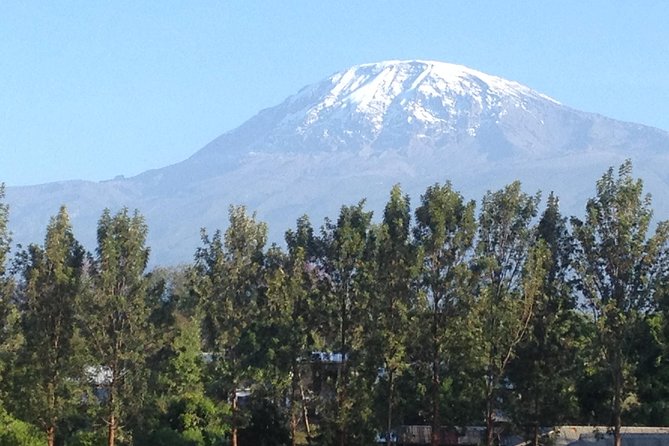 Materuni Waterfalls and Coffee Tour - Why Materuni works as a half-day escape from Moshi