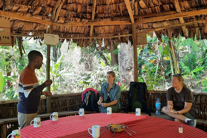 Materuni waterfalls and coffee Tour - Is $80 a fair price?