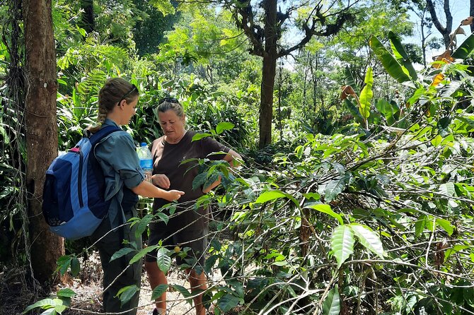 Materuni waterfalls and coffee Tour - Who will enjoy this tour most?