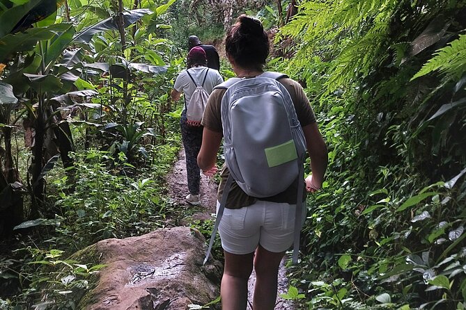 Materuni Waterfalls and Coffee Tour in Moshi - A waterfall day in Kilimanjaro’s foothills