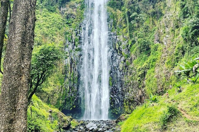 Materuni Waterfalls and Coffee Tour in Moshi - Learning Chagga coffee by making it yourself