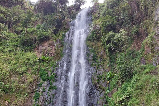 Materuni Waterfalls and Coffee Tour in Moshi - Who should book this experience?