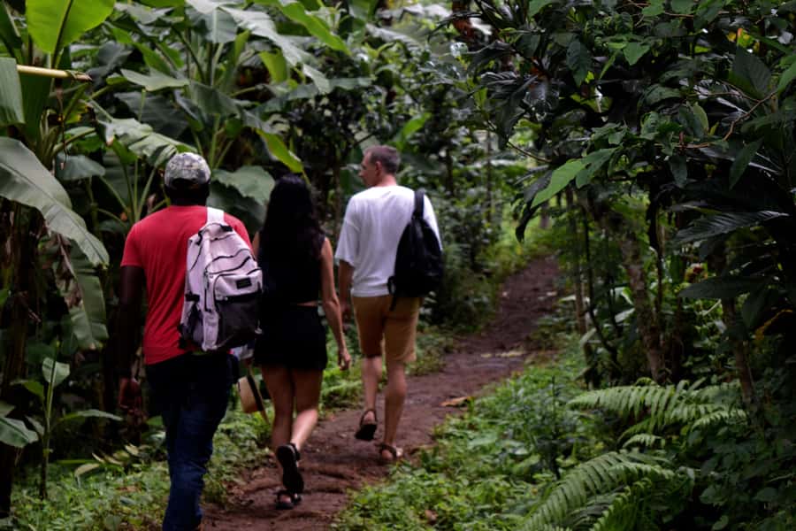 Materuni Waterfalls, Chemka Hot Springs, &/Or Coffee Tour - Key points to know before you book