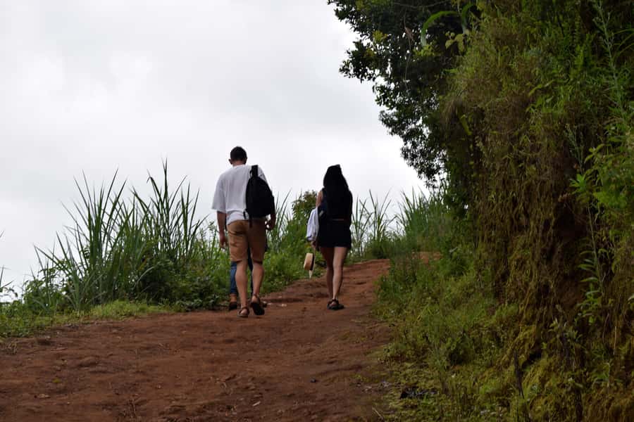 Materuni Waterfalls, Chemka Hot Springs, &/Or Coffee Tour - Why this Kilimanjaro day trip works so well