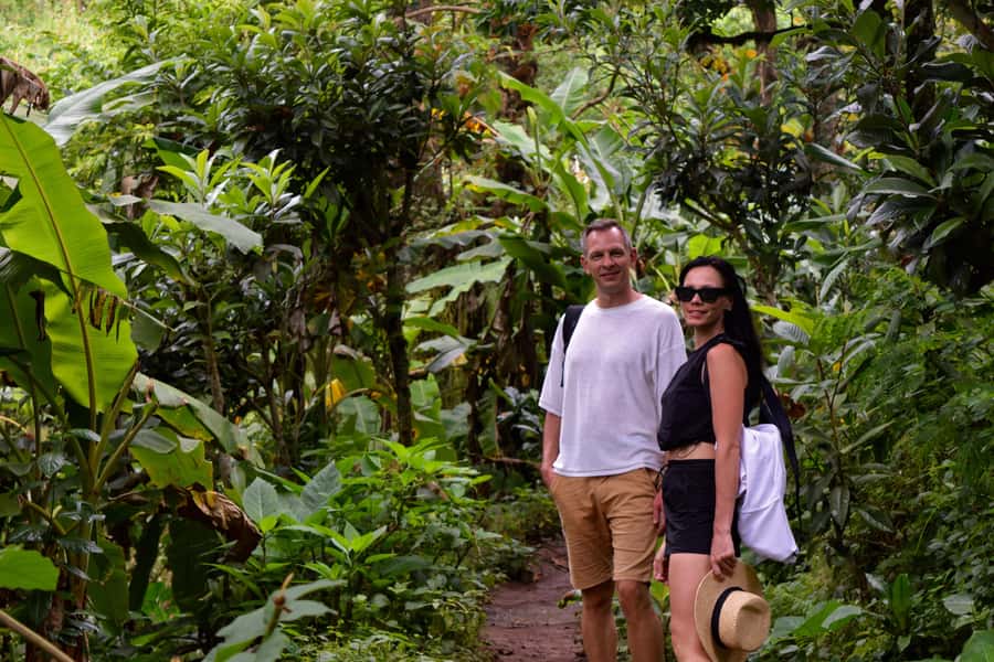 Materuni Waterfalls, Chemka Hot Springs, &/Or Coffee Tour - A hands-on coffee lesson in Materuni