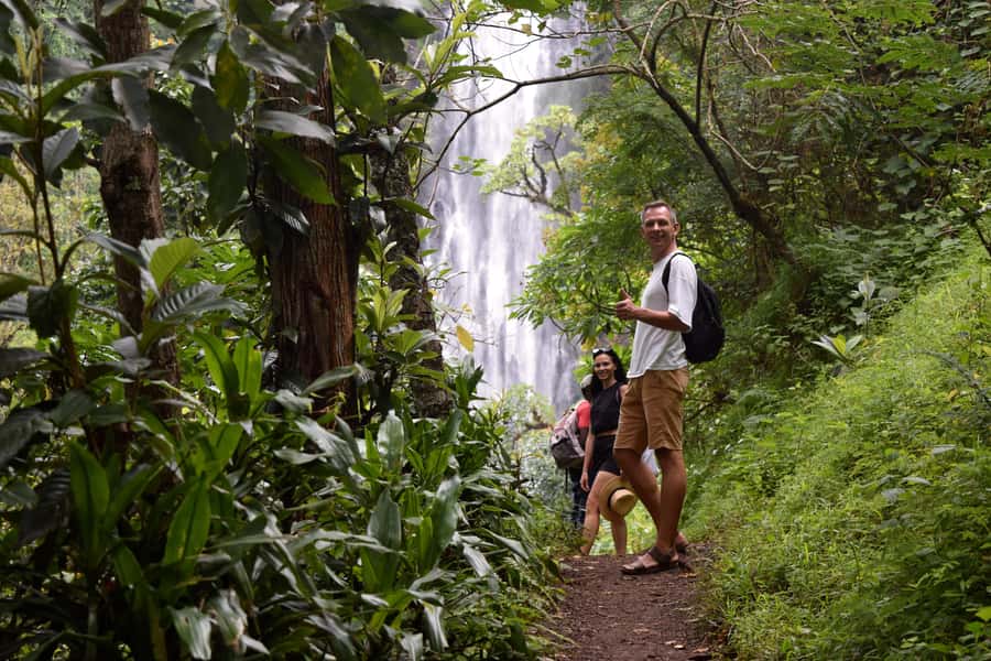 Materuni Waterfalls, Chemka Hot Springs, &/Or Coffee Tour - Swimming at Chemka Hot Springs
