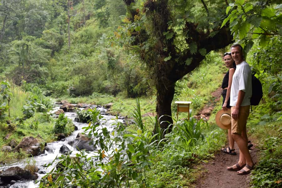 Materuni Waterfalls, Chemka Hot Springs, &/Or Coffee Tour - Guides, driving, and the feel of the day