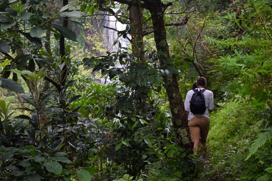 Materuni Waterfalls, Chemka Hot Springs, &/Or Coffee Tour - What the $70 price covers