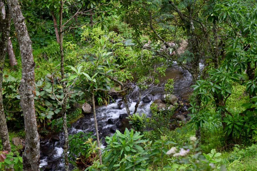 Materuni Waterfalls, Chemka Hot Springs, &/Or Coffee Tour - What to pack for a better day