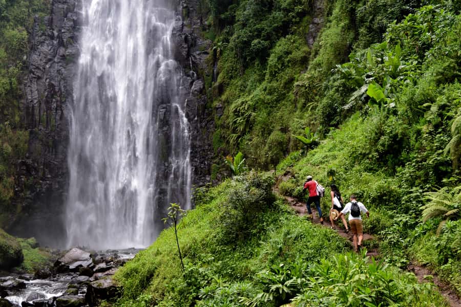 Materuni Waterfalls, Chemka Hot Springs, &/Or Coffee Tour - Walking to Materuni Waterfalls