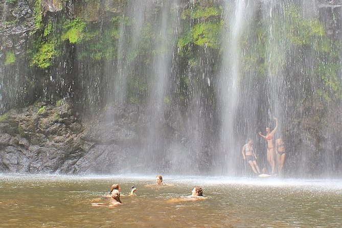 Materuni Waterfalls, Coffee and Village Full Day Tour - Lunch, timing, and the shape of the day