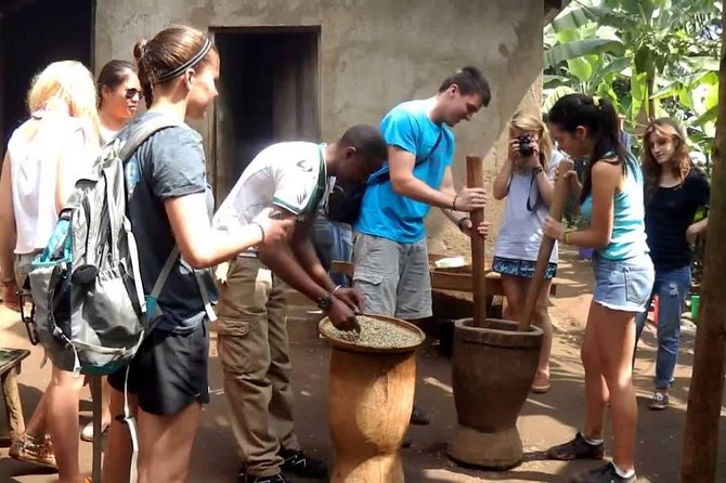 Materuni Waterfalls, Coffee and Village Full Day Tour - What the private format changes
