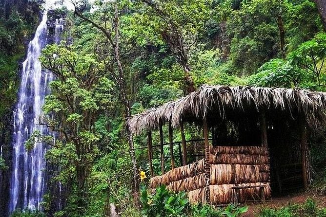 Materuni Waterfalls, Coffee and Village Full Day Tour - The walk to Materuni Falls