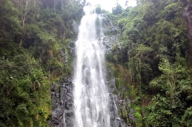 Materuni Waterfalls & Coffee making Cultural Tour | BURIGI CHATO SAFARIS LTD - The 45-minute walk to Materuni Waterfalls