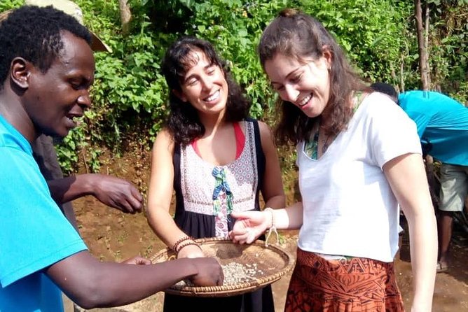 Materuni Waterfalls & Coffee making Cultural Tour | BURIGI CHATO SAFARIS LTD - Timing, pickup, and weather details