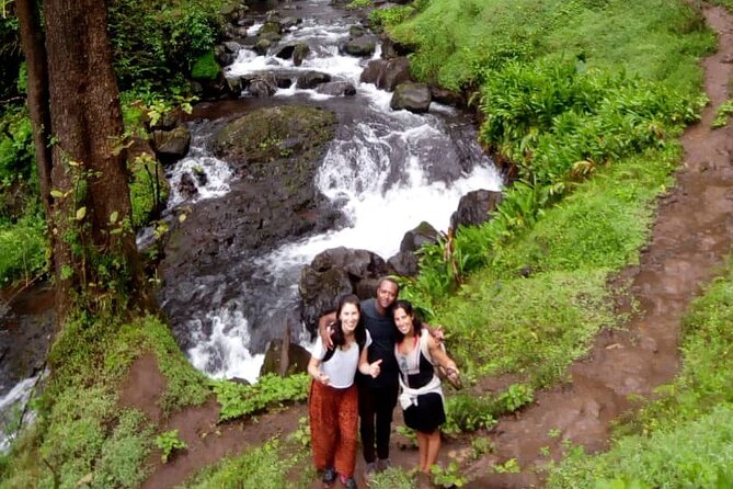 Materuni Waterfalls & Coffee making Cultural Tour | BURIGI CHATO SAFARIS LTD - Starting with coffee in the Chagga village