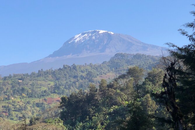 Materuni Waterfalls & Coffee Tour - Moshi, Arusha, and the time question