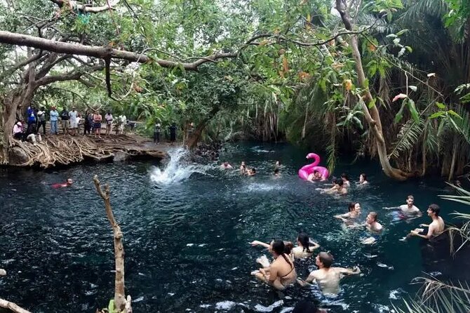 Materuni waterfalls coffee tour & Chemka hot springs Day trip - The rough ride to Chemka Hot Springs