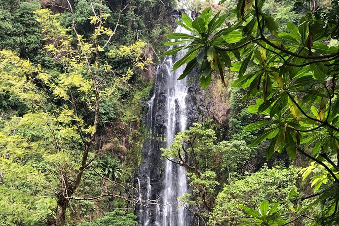 Materuni waterfalls coffee tour & Chemka hot springs Day trip - What the $95 price includes in practical terms