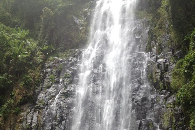 Materuni Waterfalls & Coffee Tour from Moshi - Key Points To Know Before You Go