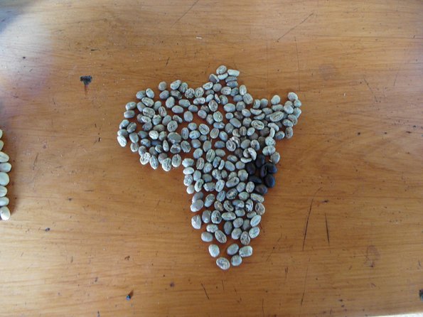 Materuni Waterfalls & Coffee Tour from Moshi - The 30-Minute Walk To Materuni Waterfall