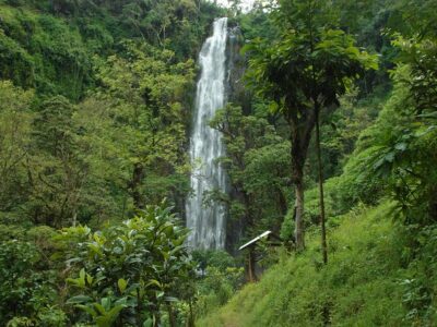 Materuni Waterfalls & Coffee Tour from Moshi