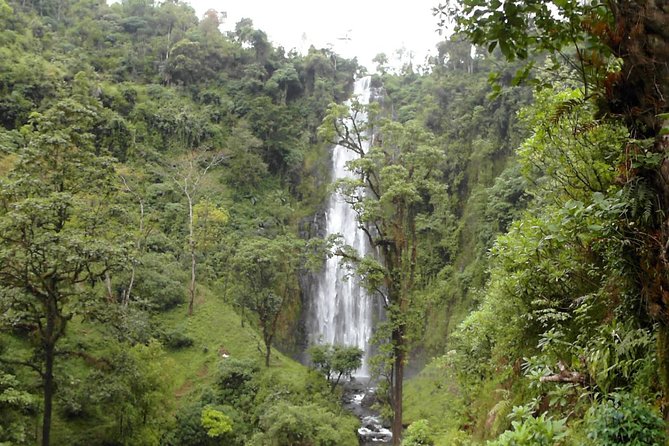 Materuni Waterfalls & Coffee Tour from Moshi - What The $60 Price Includes