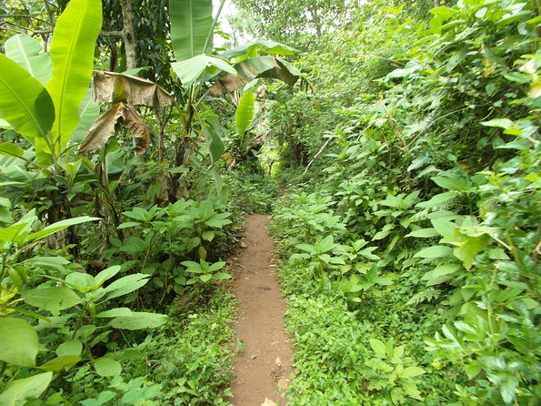 Materuni Waterfalls & Coffee Tour from Moshi - Who Will Enjoy This Tour Most