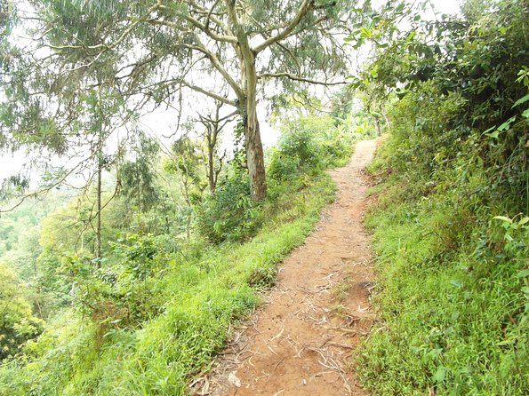 Materuni Waterfalls & Coffee Tour from Moshi - Practical Tips For A Better Day