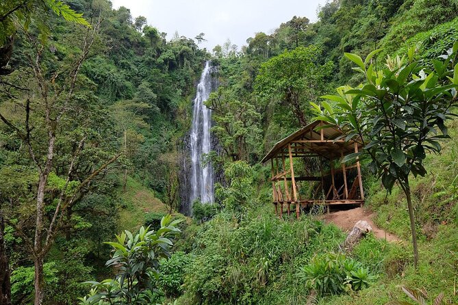 Materuni waterfalls,coffee tour & Kikuletwa(Chemka)Hot Springs - Key points at a glance