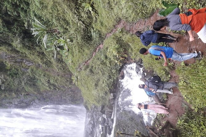 Materuni waterfalls,coffee tour & Kikuletwa(Chemka)Hot Springs - Why this Arusha day trip works