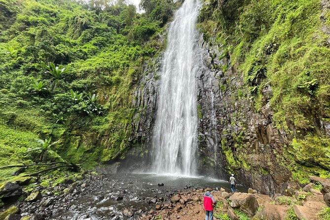 Materuni waterfalls,coffee tour & Kikuletwa(Chemka)Hot Springs - A coffee lesson with songs and a buffet lunch