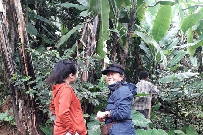 Materuni waterfalls,coffee tour & Kikuletwa(Chemka)Hot Springs - The $100 price and what it covers