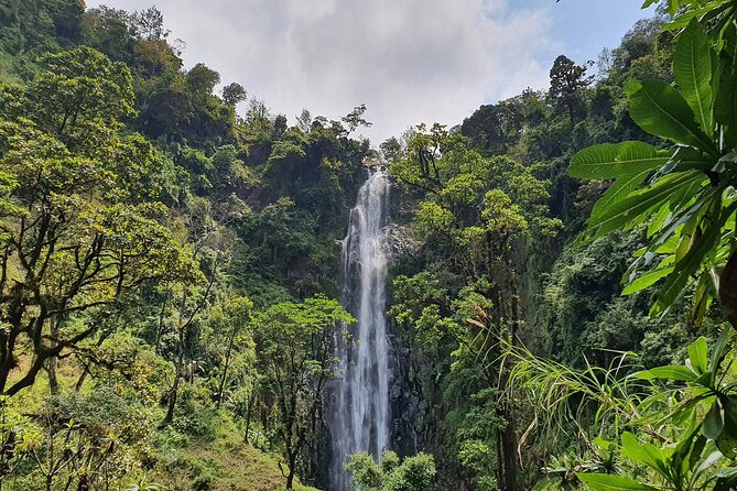 Materuni waterfalls,coffee tour & Kikuletwa(Chemka)Hot Springs - Walking into Materuni Waterfall country