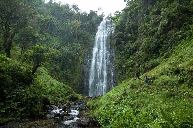 Materuni Waterfalls, coffee tour & Kikuletwa Hot Springs - Key points at a glance