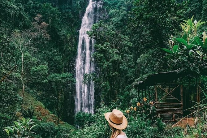 Materuni Waterfalls, coffee tour & Kikuletwa Hot Springs - Three Tanzanian experiences in one long day