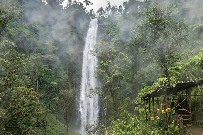 Materuni Waterfalls, coffee tour & Kikuletwa Hot Springs - What the $100 price really covers