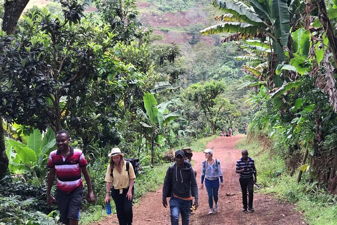 Materuni Waterfalls & Coffee Tour - Coffee from harvest to cup